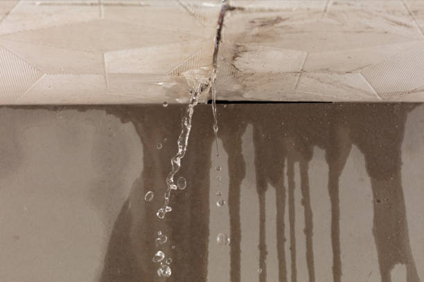 Professional Flood Damage Cleanup technician working in Pipersville, PA